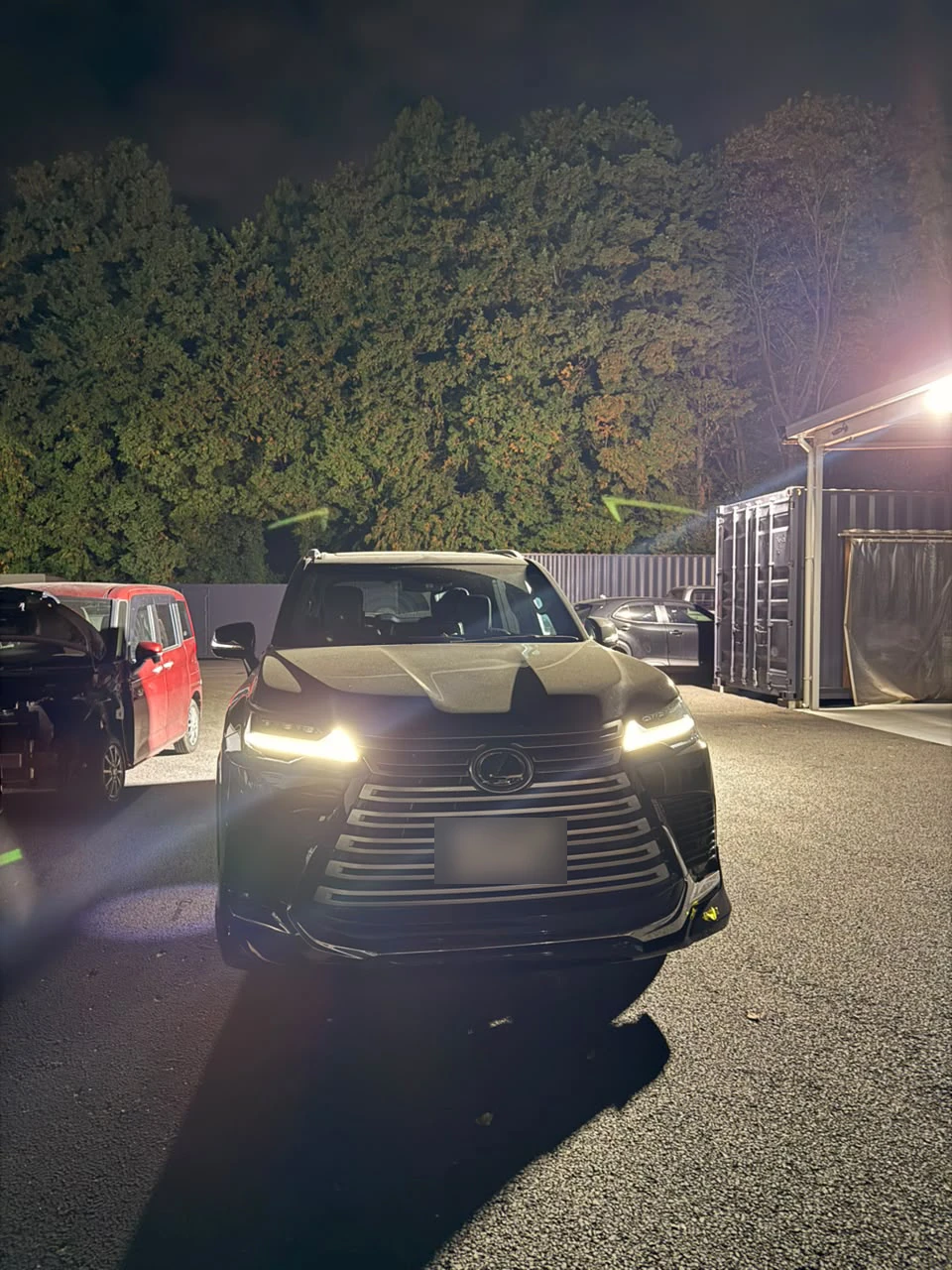 2025 Lexus LX600 photo