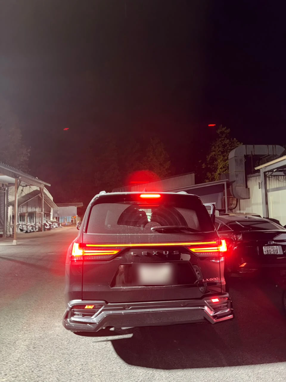 2025 Lexus LX600 photo