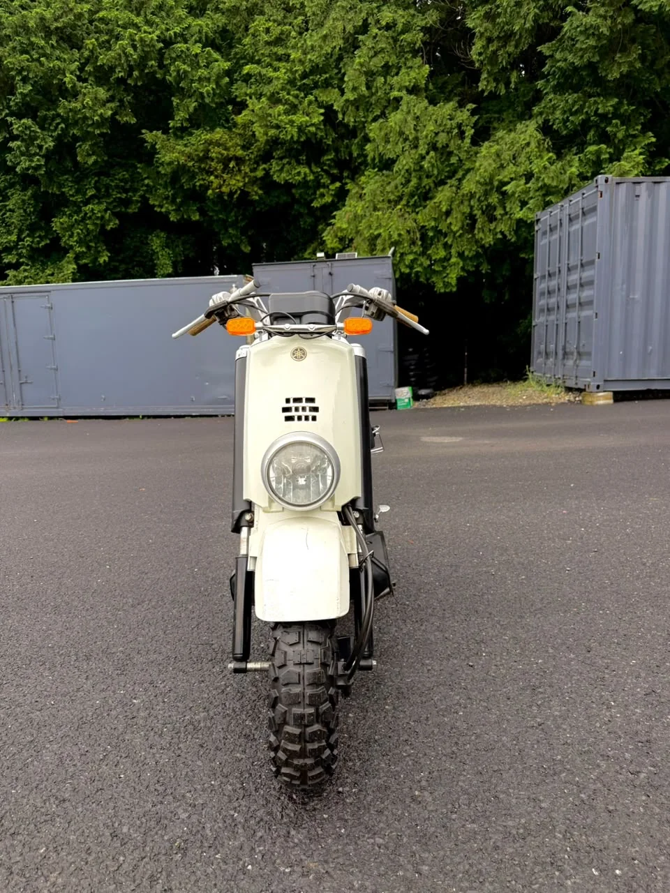 Yamaha Vox photo